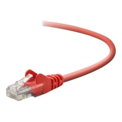 Belkin Cat. 5e Patch Cable - RJ-45 Male - RJ-45 Male - 25ft