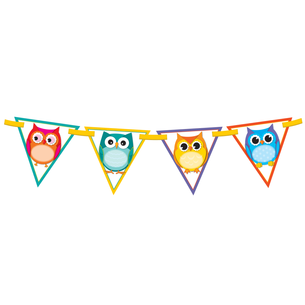 Carson-Dellosa Bunting, 7ft" x 7ft", Colorful Owls, Grades Pre-K - 12, Pack Of 16