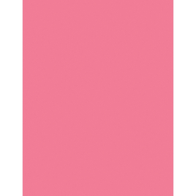 Load image into Gallery viewer, Pacon Color Multi-Use Printer &amp; Copy Paper, Hyper Coral Red, Letter (8.5in x 11in), 500 Sheets Per Ream, 24 Lb