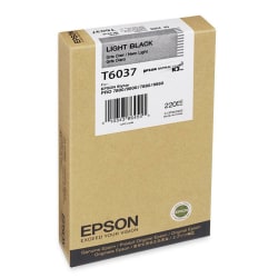 Epson Original Ink Cartridge - Inkjet - Light Black - 1 Each