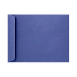 LUX Open-End 10in x 13in Envelopes, Peel & Press Closure, Boardwalk Blue, Pack Of 50