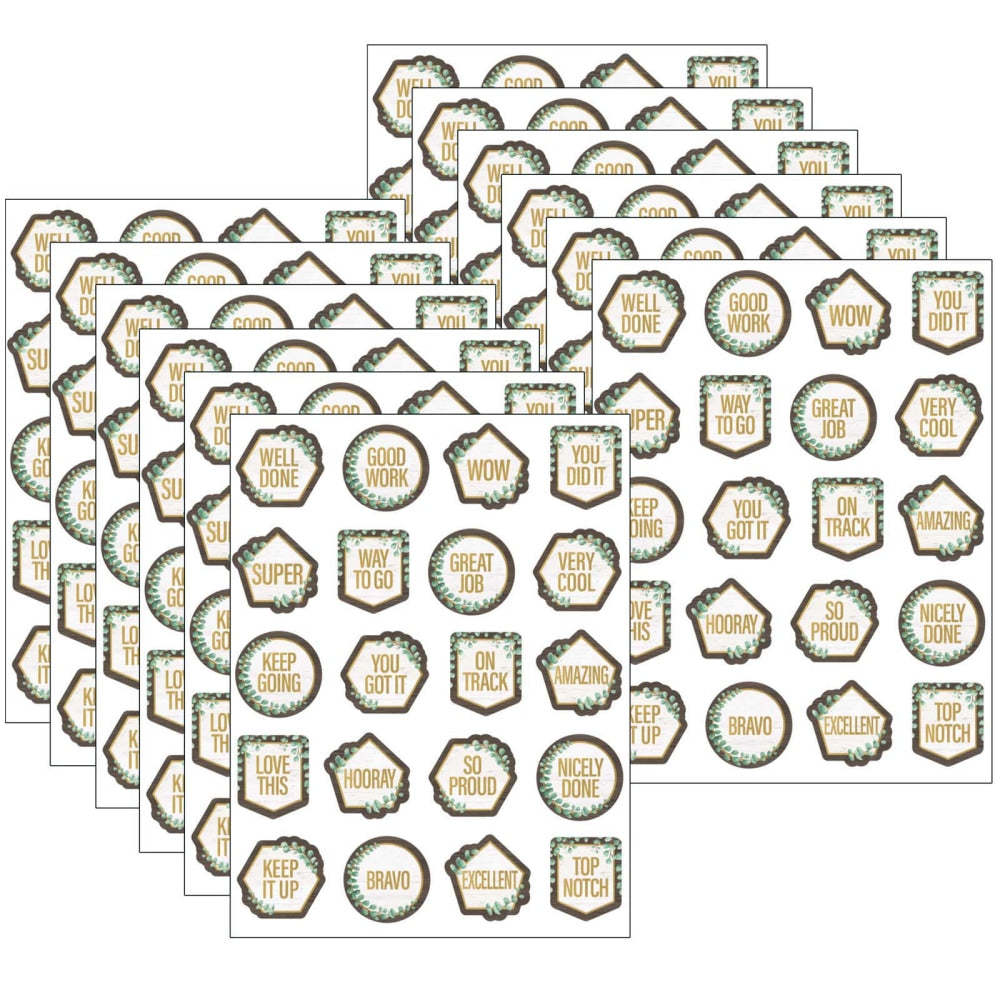 Teacher Created Resources Stickers, Eucalyptus, 120 Stickers Per Pack, Set Of 12 Packs