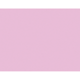 Pacon Peacock 100% Recycled Railroad Board, 22in x 28in, 6-Ply, Pink, Pack Of 25 Sheets