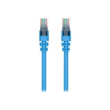 Load image into Gallery viewer, Belkin High Performance - Patch cable - RJ-45 (M) to RJ-45 (M) - 2 ft - UTP - CAT 6 - molded, snagless - blue - for Omniview SMB 1x16, SMB 1x8; OmniView SMB CAT5 KVM Switch