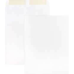 Business Source 28 lb. White Catalog Envelopes - Catalog - #10 1/2 - 9in Width x 12in Length - 28 lb - Gummed - Wove - 250 / Box - White
