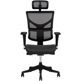 X-Chair X1 Ergonomic Mesh High-Back Task Chair With Headrest, Black