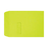 LUX #9 1/2 Open-End Window Envelopes, Top Left Window, Gummed Seal, Wasabi, Pack Of 250