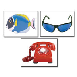 Carson-Dellosa Key Education Learning Cards - Alphabet Photo Objects