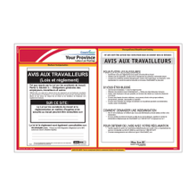 Load image into Gallery viewer, ComplyRight Canadian Federal and Province Labor Law 1-Year Poster Service, French, Ontario