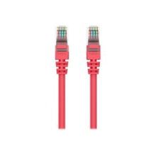 Load image into Gallery viewer, Belkin High Performance - Patch cable - RJ-45 (M) to RJ-45 (M) - 7 ft - CAT 6 - snagless - red - for Omniview SMB 1x16, SMB 1x8; OmniView SMB CAT5 KVM Switch
