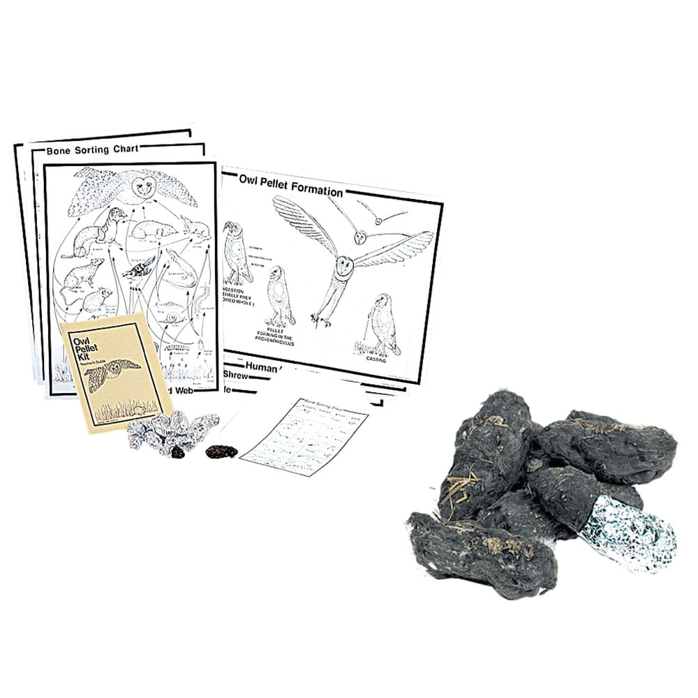 Pellets Inc. Owl Traditional Pellet Deluxe Classroom Kit, 3in x 19in, Grades 5 - 12
