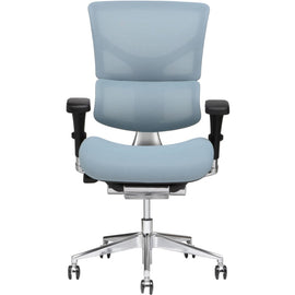 X-Chair X3 Ergonomic Nylon High-Back Task Chair, Glacier