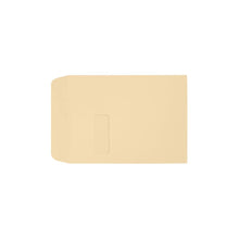 Load image into Gallery viewer, LUX #9 1/2 Open-End Window Envelopes, Top Left Window, Gummed Seal, Nude, Pack Of 250