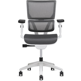 X-Chair X-S Vision Ergonomic High-Back Task Chair, Gray