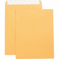 Business Source Self Adhesive Kraft Catalog Envelopes - Catalog - 10in Width x 13in Length - 28 lb - Self-sealing - Kraft - 250 / Box - Brown Kraft