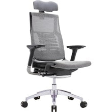 Load image into Gallery viewer, Raynor Powerfit Ergonomic Mesh High-Back Executive Office Chair, Gray/Black