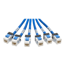 Tripp Lite 10ft Augmented Cat6 Cat6a Pre-Terminated Copper Trunk Bundle 6xRJ45 M/F 10ft - First End: 6 x RJ-45 Male Network - Second End: 6 x RJ-45 Female Network - 10 Gbit/s - Patch Cable - Gold Plated Contact - 23 AWG - Blue