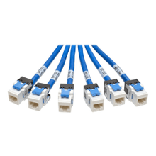 Load image into Gallery viewer, Tripp Lite 10ft Augmented Cat6 Cat6a Pre-Terminated Copper Trunk Bundle 6xRJ45 M/F 10ft - First End: 6 x RJ-45 Male Network - Second End: 6 x RJ-45 Female Network - 10 Gbit/s - Patch Cable - Gold Plated Contact - 23 AWG - Blue