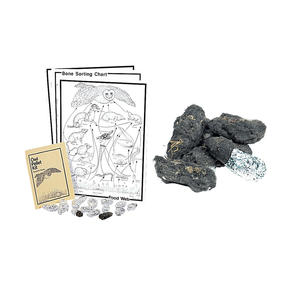 Pellets Inc. Owl Traditional Pellet Classroom Kit, 3in x 19 1/2in, Grades 2-12