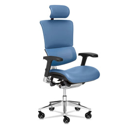 X-Chair X-Tech Ultimate Ergonomic Brisa Fabric High-Back Executive Chair, Reef