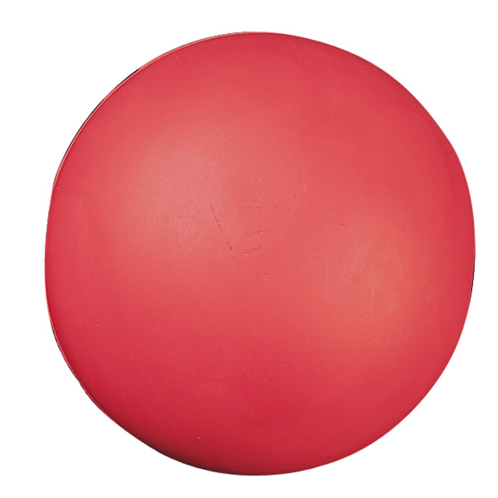 Champion Sports High Density Coated 4in Foam Ball