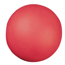 Load image into Gallery viewer, Champion Sports High Density Coated 4in Foam Ball