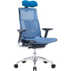 Raynor Powerfit Ergonomic Mesh High-Back Executive Office Chair, Blue/Black